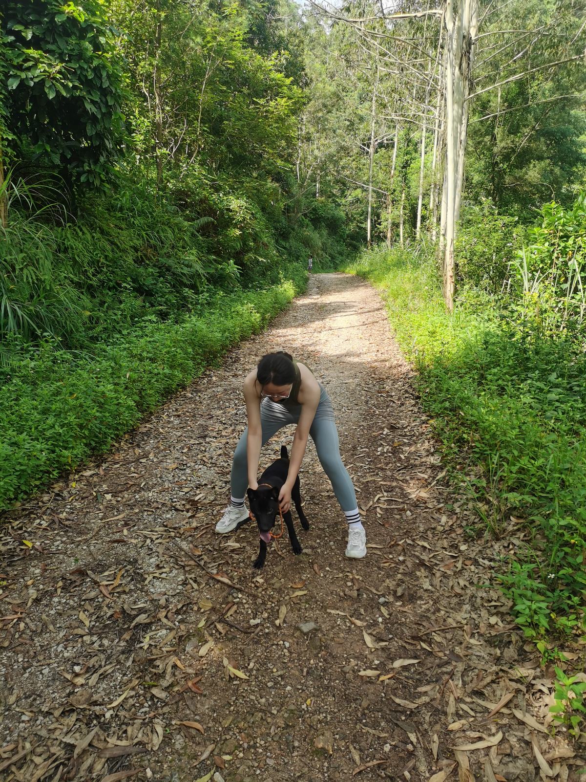 Baicai on a forest trail on leash, tongue out, happy